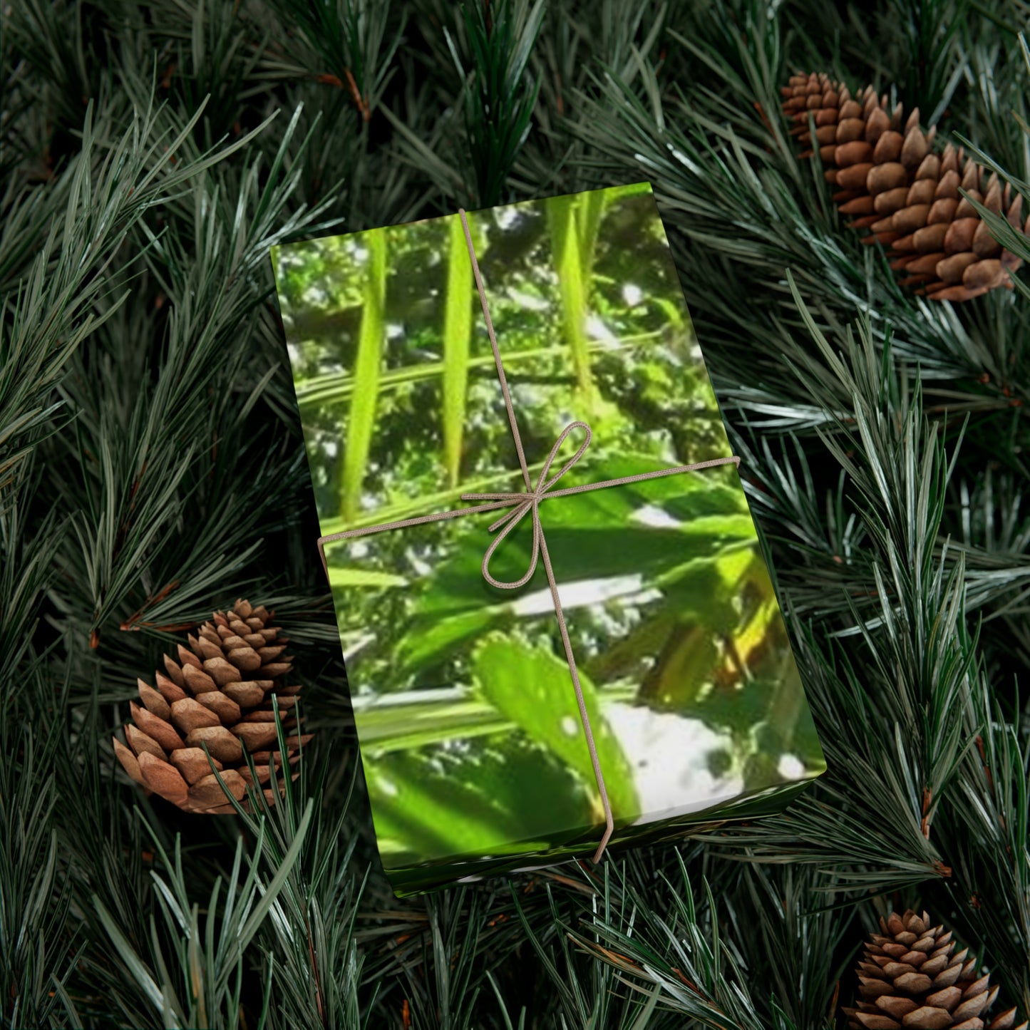 Gift Wrap Papers - Tree dots Wotton-Waven