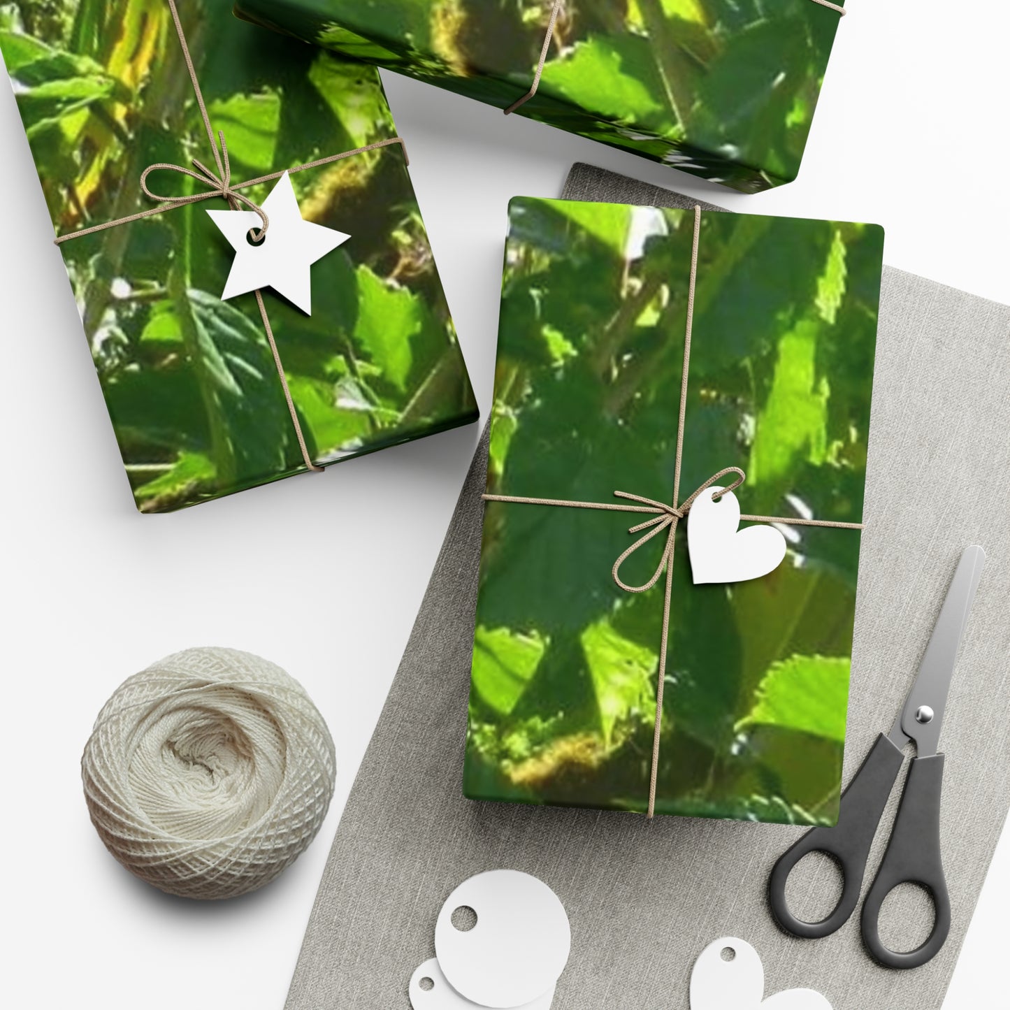 Gift Wrap Papers - Tree dots Wotton-Waven